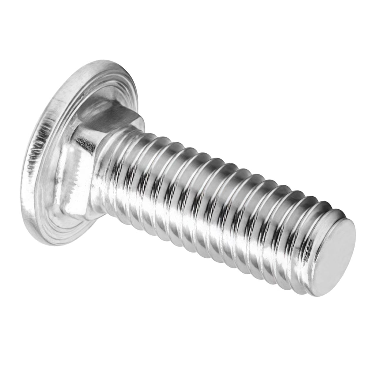 Hex Bolt & Carriage Bolt