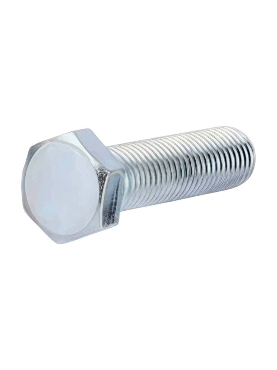 Hex Bolt & Carriage Bolt